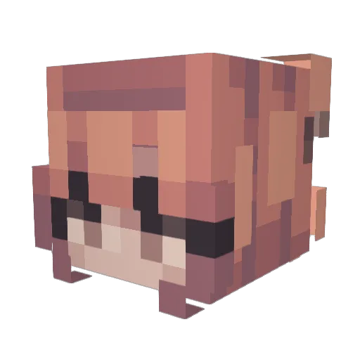 Dylanow1 Minecraft avatar head, 3D render
