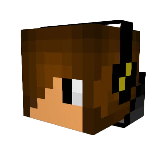 Dylanthepooch Minecraft avatar head, 3D render