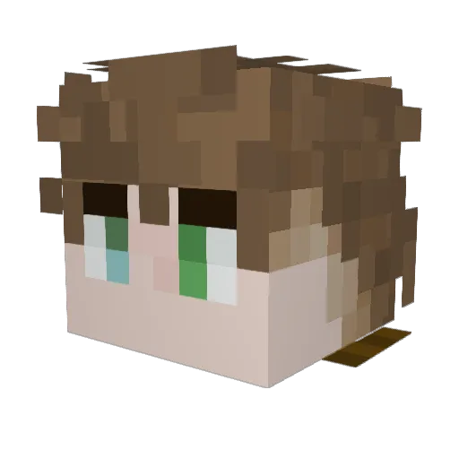 Dylanwalker1219 Minecraft avatar head, 3D render