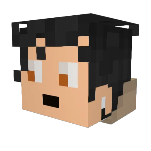 Dylanxc9 Minecraft avatar head, 3D render