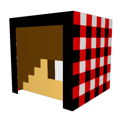 Dylbug55 Minecraft avatar head, 3D render