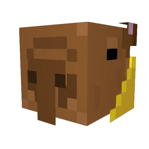Dylex191 Minecraft avatar head, 3D render