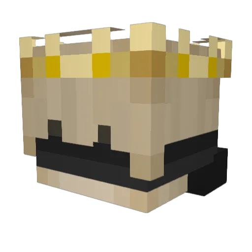 DylionMC Minecraft avatar head, 3D render