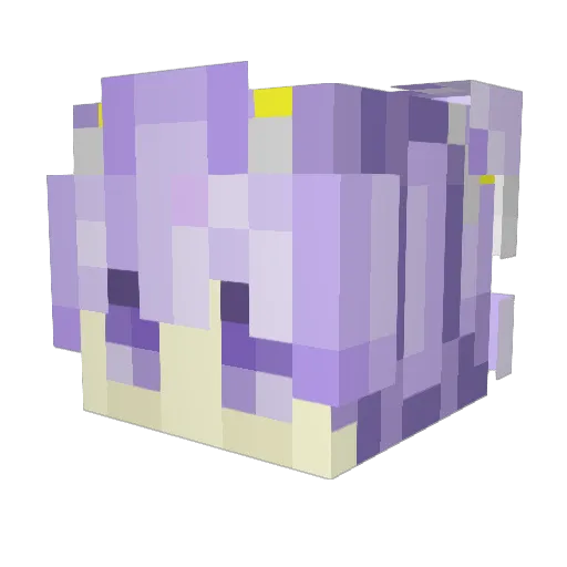 DyllPicklle Minecraft avatar head, 3D render
