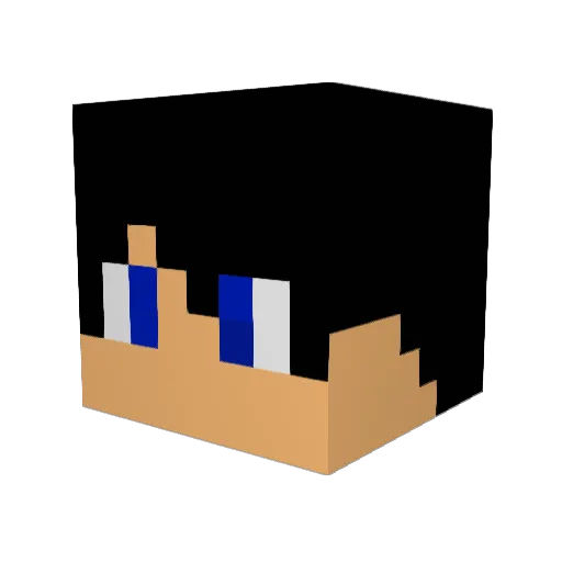 Dylmeister1 Minecraft avatar head, 3D render