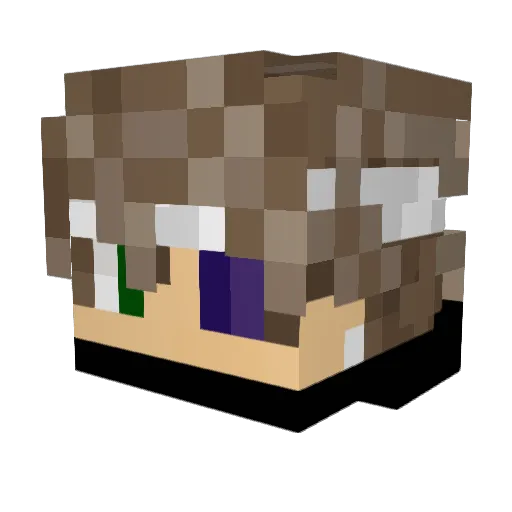 Dylomzzz Minecraft avatar head, 3D render