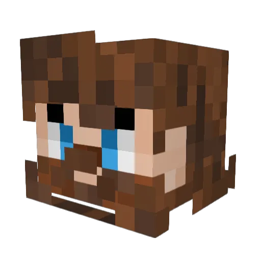 Dylp1ckl3 Minecraft avatar head, 3D render