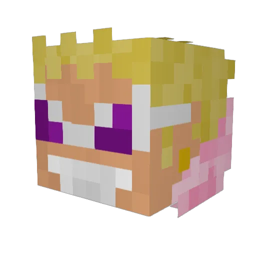 Dylpickle101010 Minecraft avatar head, 3D render