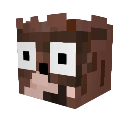 Dyls158 Minecraft avatar head, 3D render
