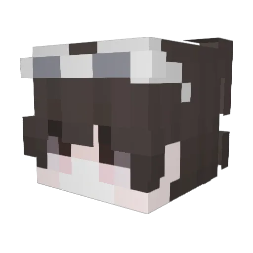 Dyltaiel Minecraft avatar head, 3D render