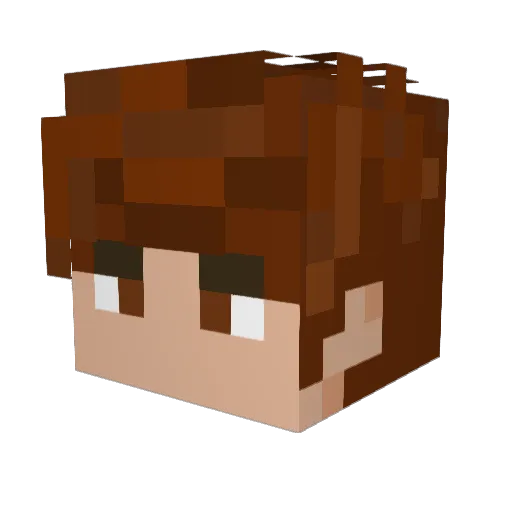 Dylzow Minecraft avatar head, 3D render
