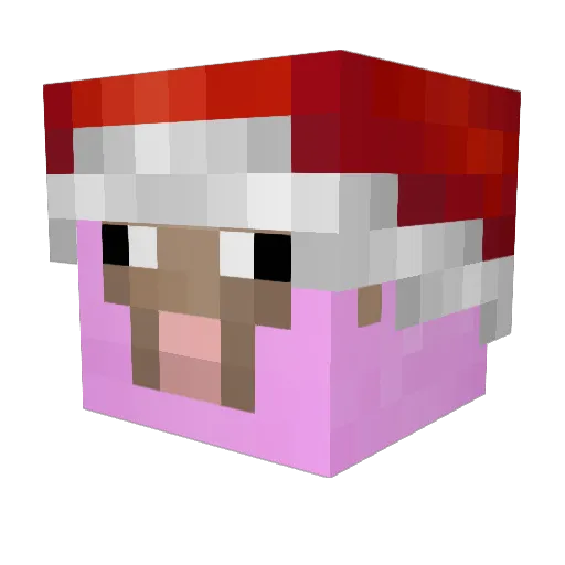 Dymasi Minecraft avatar head, 3D render