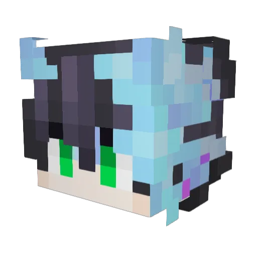 Dynam1c6448 Minecraft avatar head, 3D render