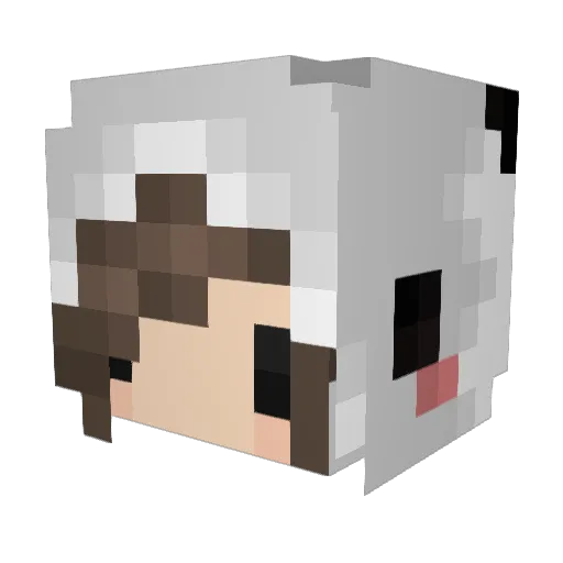 Dynamic_Gazelle Minecraft avatar head, 3D render
