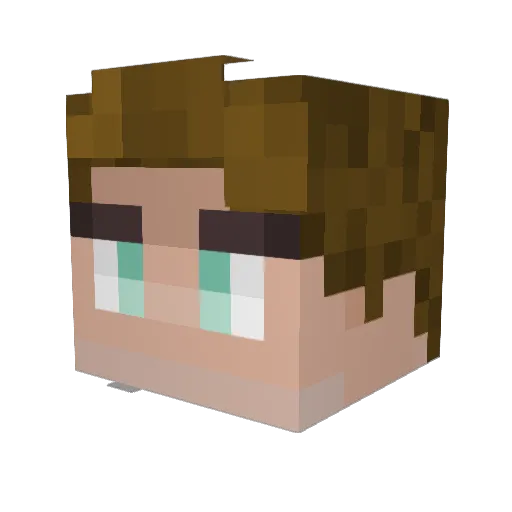 DynamiteToad399 Minecraft avatar head, 3D render