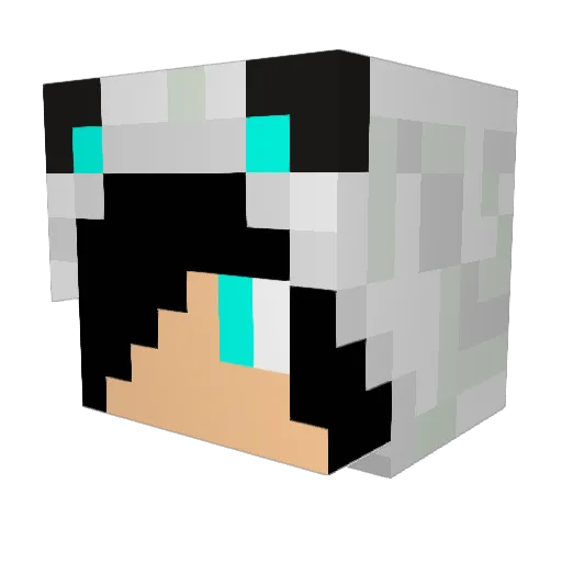 DynastyWolfHD Minecraft avatar head, 3D render