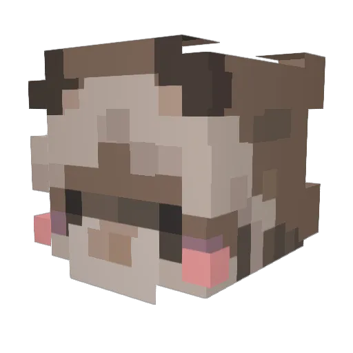 Dyplexia Minecraft avatar head, 3D render
