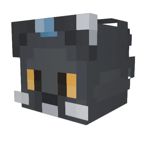 DyrdymalZ Minecraft avatar head, 3D render