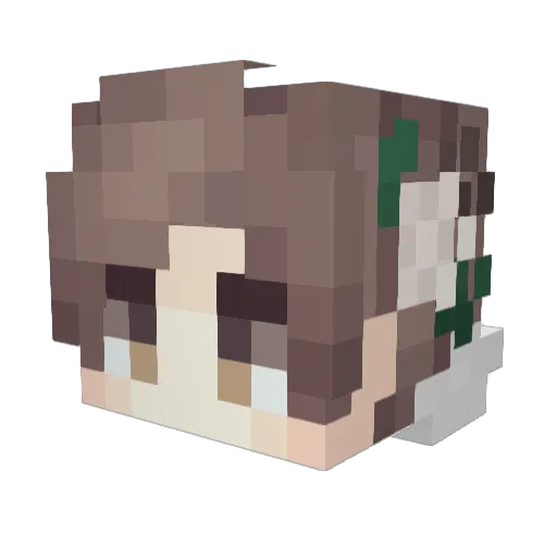 DysaarmLS_ Minecraft avatar head, 3D render
