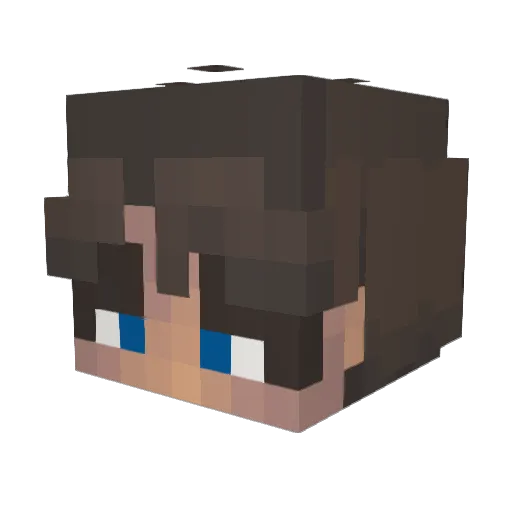 DyscoT Minecraft avatar head, 3D render