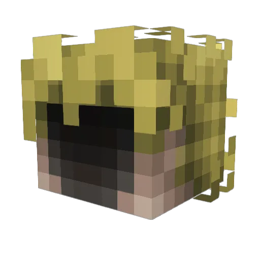 Dyskr Minecraft avatar head, 3D render