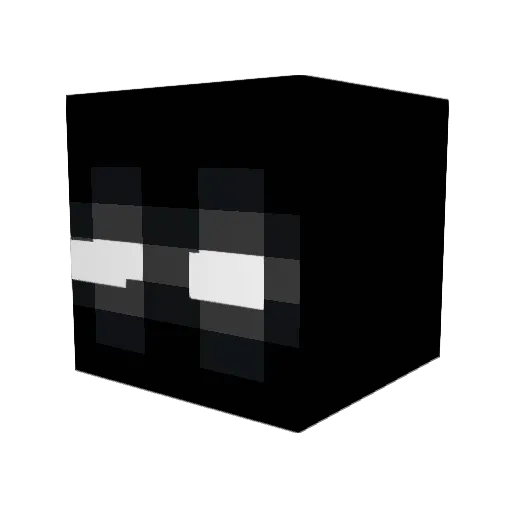 DyslexicToast Minecraft avatar head, 3D render