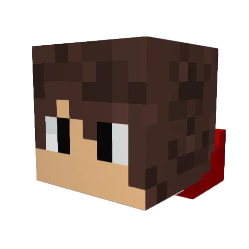 Dysman_16 Minecraft avatar head, 3D render