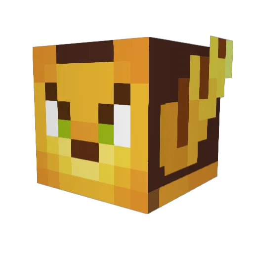Dysonator99 Minecraft avatar head, 3D render
