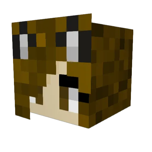 DysphoricKittyXO Minecraft avatar head, 3D render
