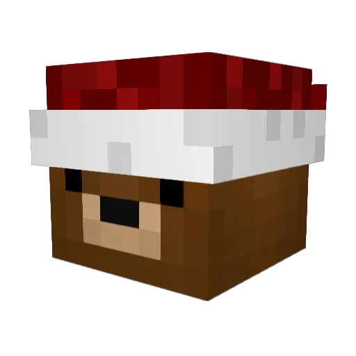 DytchTV Minecraft avatar head, 3D render