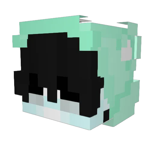Dywhou Minecraft avatar head, 3D render