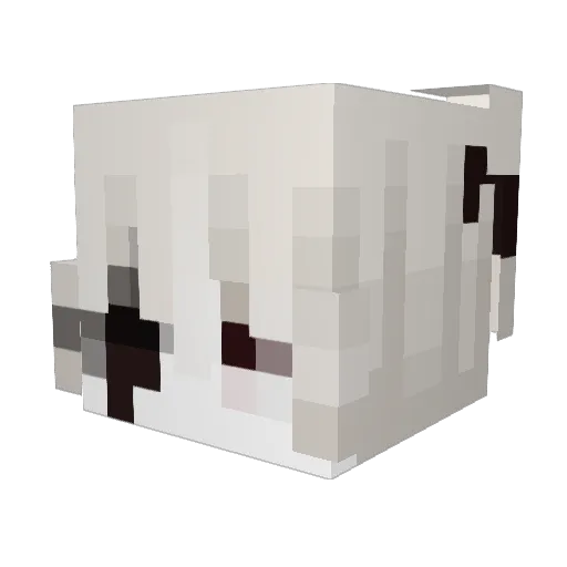 Dyxonn Minecraft avatar head, 3D render