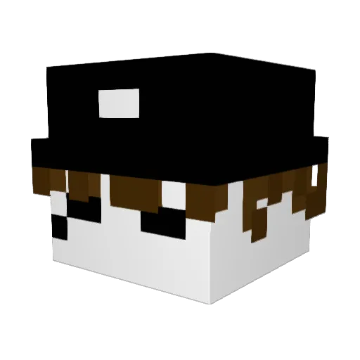 DyyyMac Minecraft avatar head, 3D render
