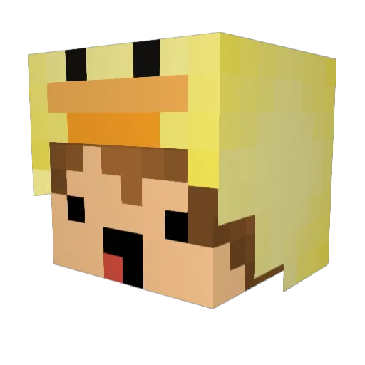 Dzanibunny Minecraft avatar head, 3D render