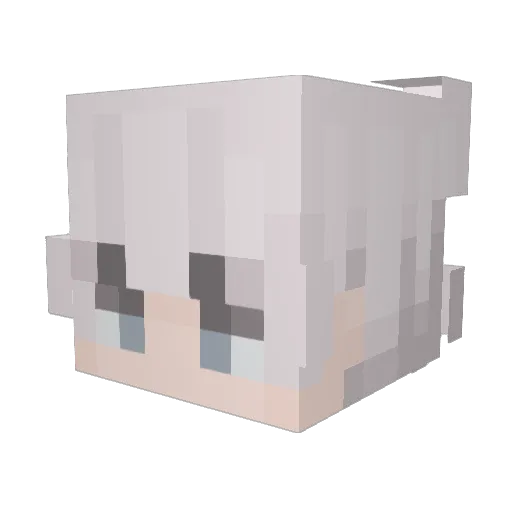 DzeNNN Minecraft avatar head, 3D render