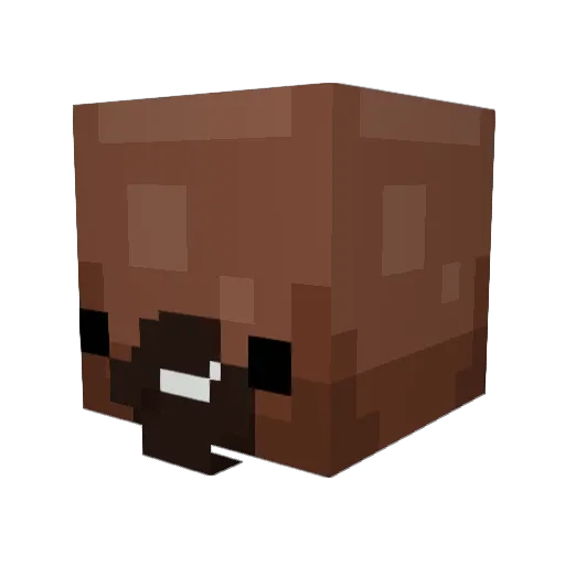 DziadekHiszpan Minecraft avatar head, 3D render