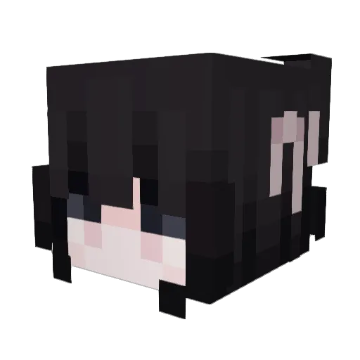 Dzinksi Minecraft avatar head, 3D render
