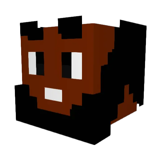 Dziobus000 Minecraft avatar head, 3D render