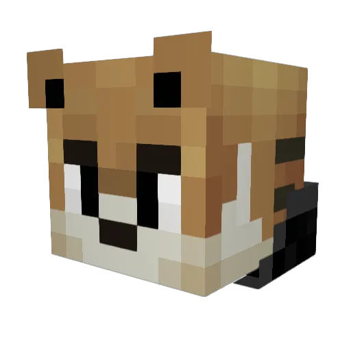 Dziri06 Minecraft avatar head, 3D render