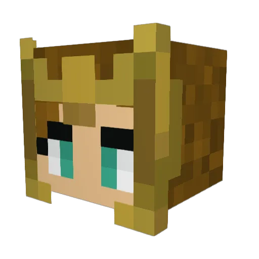 Dzusyk Minecraft avatar head, 3D render