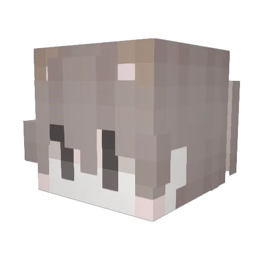 E0no Minecraft avatar head, 3D render