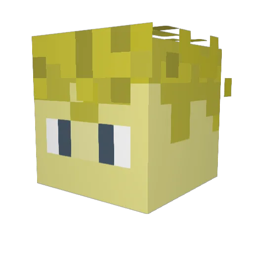 E114S_RBK Minecraft avatar head, 3D render
