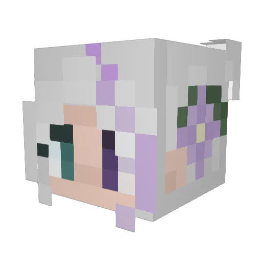 E11ie45 Minecraft avatar head, 3D render