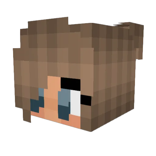 E15_ Minecraft avatar head, 3D render