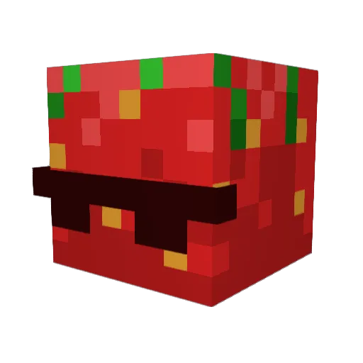 E1eli Minecraft avatar head, 3D render