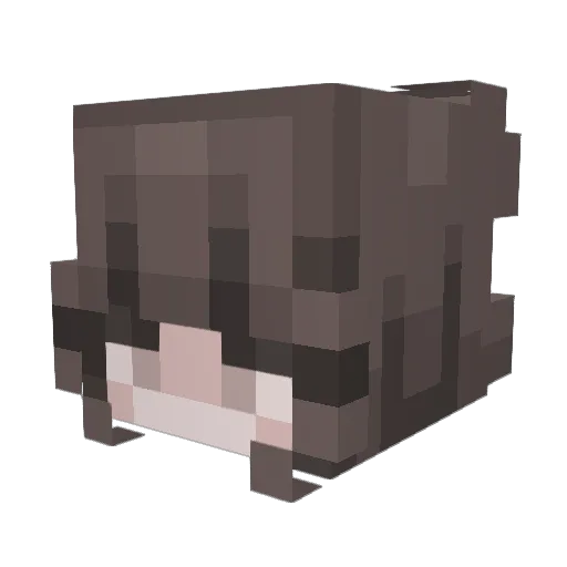 E1en1 Minecraft avatar head, 3D render