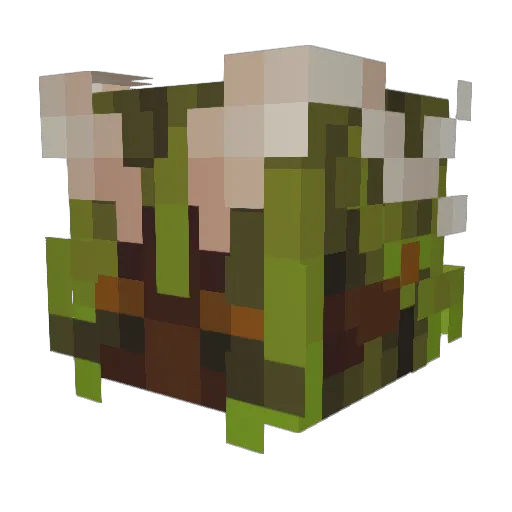 E1ysian Minecraft avatar head, 3D render