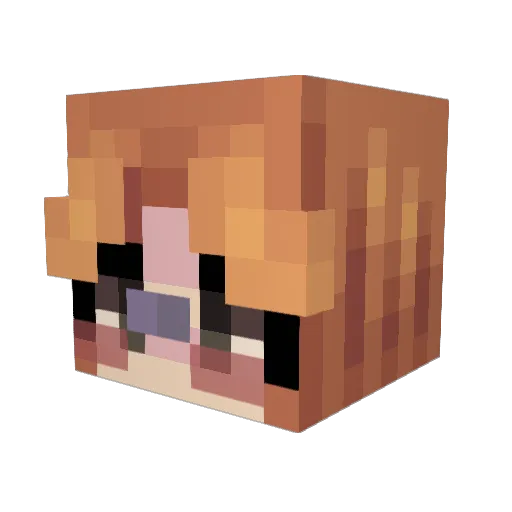 E2xc Minecraft avatar head, 3D render