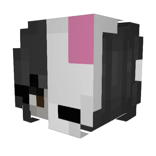 E3nya Minecraft avatar head, 3D render