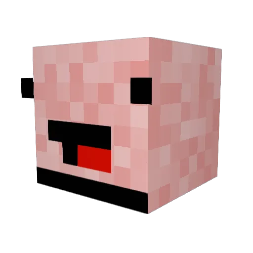 E60nohope4u Minecraft avatar head, 3D render